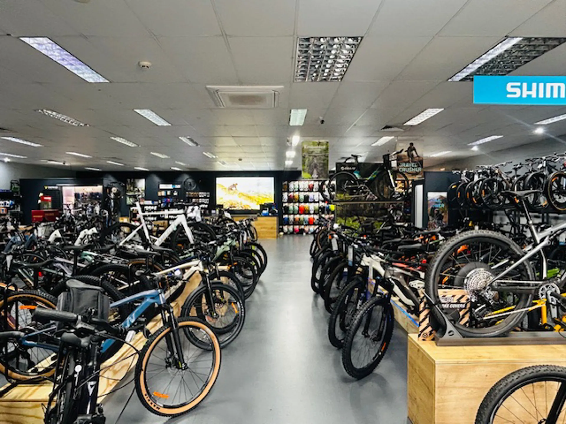 Bikes on display across the full showroom floor