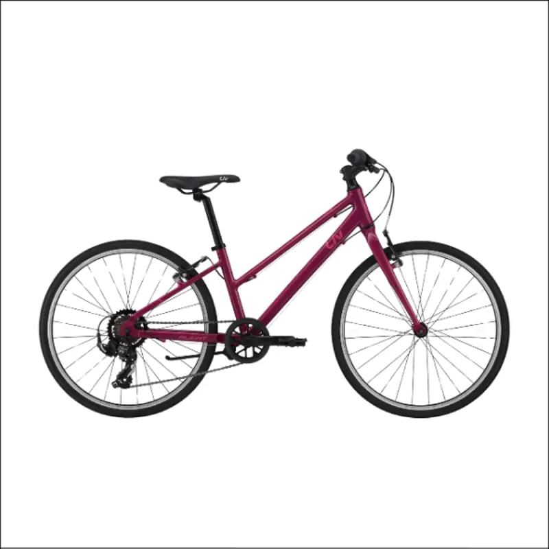 Liv Alight 24 Purple