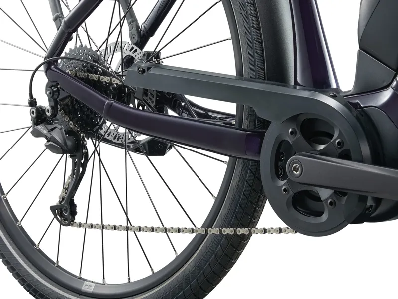 EXPRESSION E+ 25km/h Black Currant-2