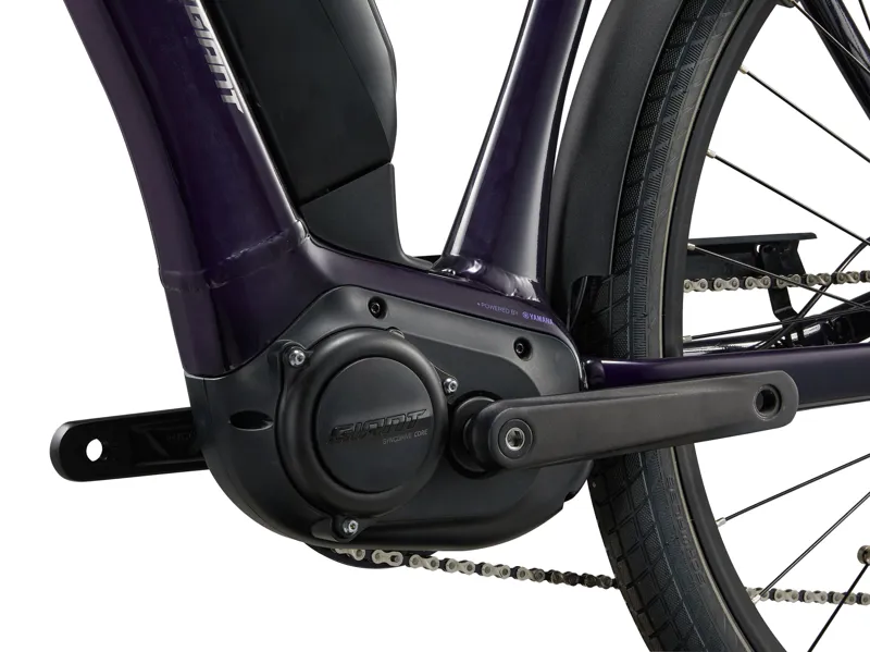 EXPRESSION E+ 25km/h Black Currant-3
