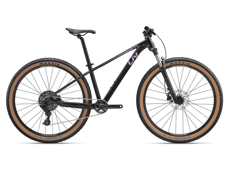 Tempt 29 2  Obsidian Pulse - 2027