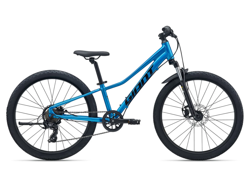 Giant Talon 24 Disc One Size Metallic Blue