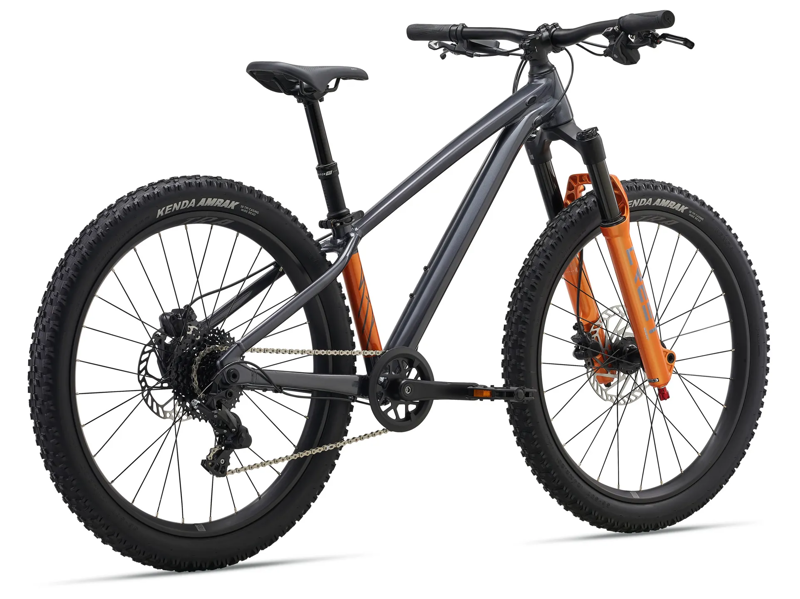 Giant STP 24 One Size Black Chrome-1