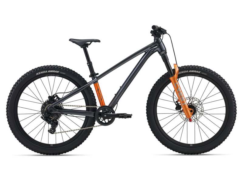 Giant STP 24 One Size Black Chrome